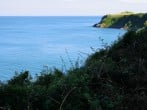 Sea Sea